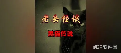 黑猫奇闻社*号码分享(黑猫人工台*)